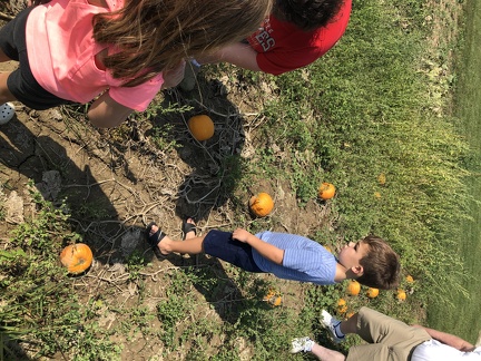 Picking Pumpkins at Aunt Janines2